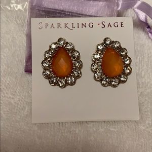 Brand New Sparkling Sage Post Earrings